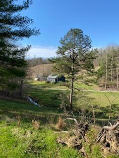 2333 Buncomb Rd, Tyner, KY 40486 - photo 6