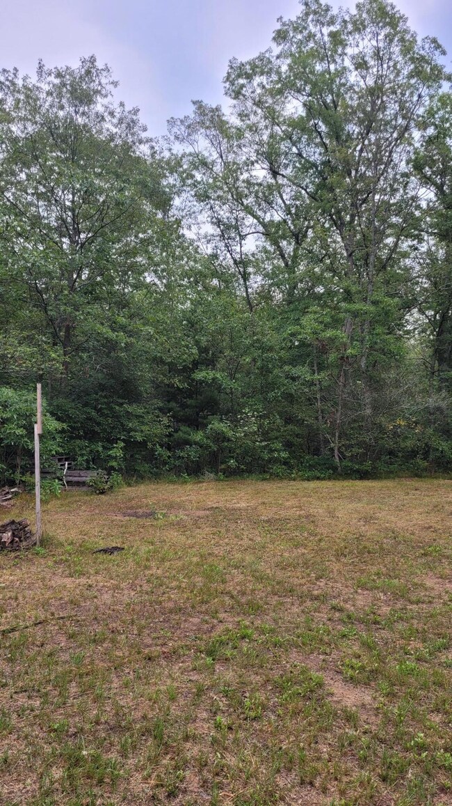 9413 N Northwoods Trail, Brohman, MI 49312 - photo 6