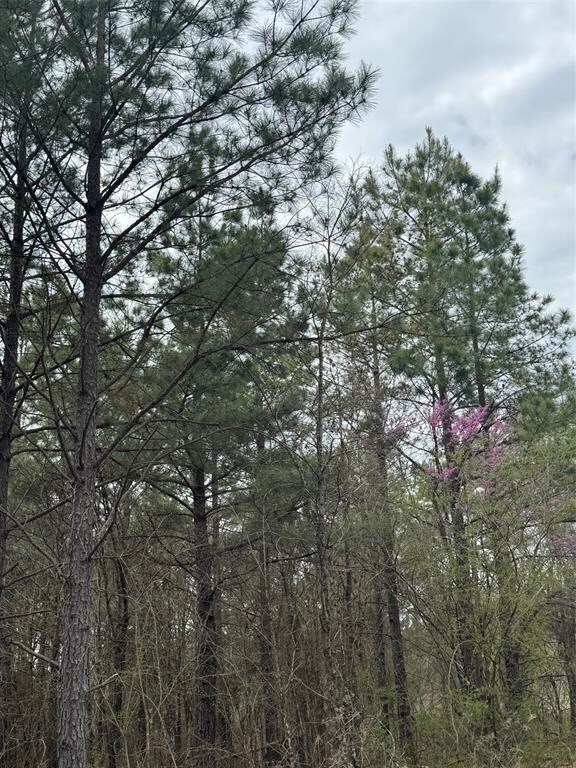Broken Bow Lake