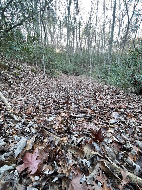 TBD Yates Ln unit 116, Lake Lure, NC 28746 - photo 7