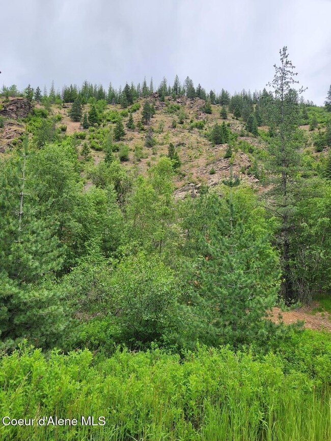 Lot looking North