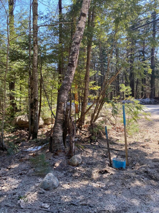 Lot 64 Knights Hill Rd, Bridgton, ME 04009 - photo 5