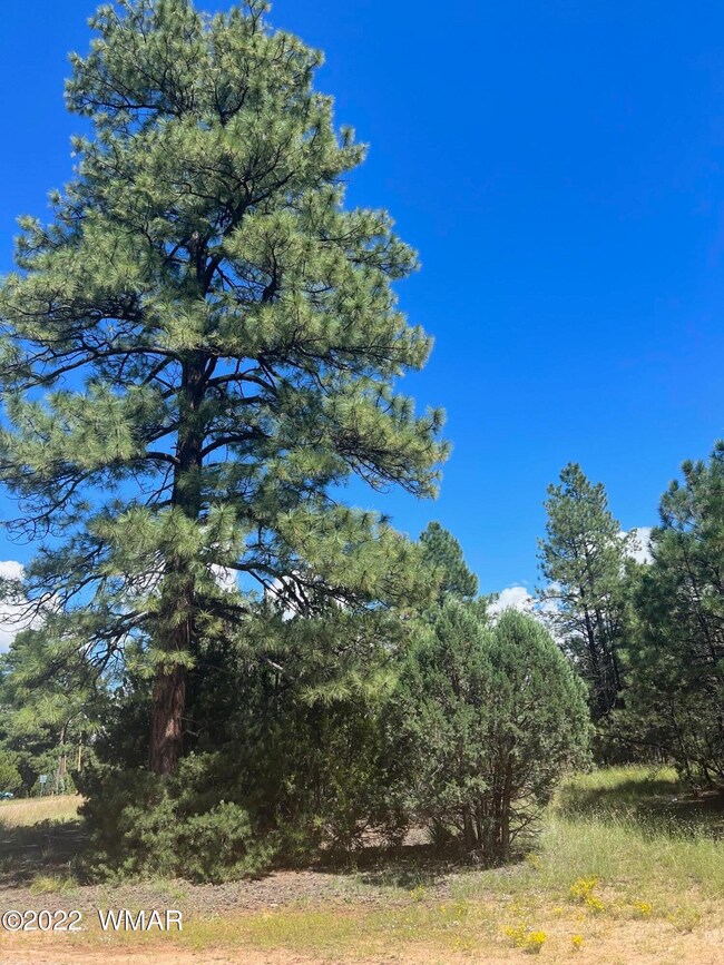 2899 Lejo Rd.