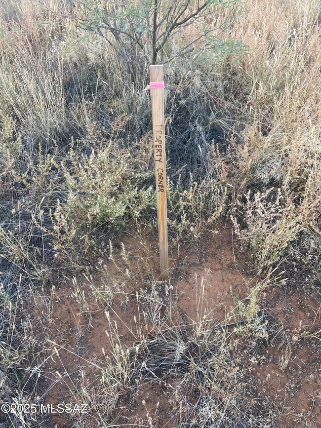 TBD Rain Valley Rd, Elgin, AZ 85611 - photo 7