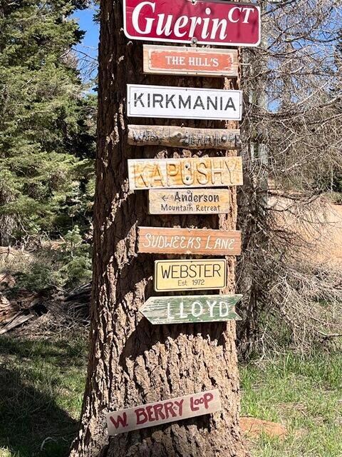 Berry Loop.7