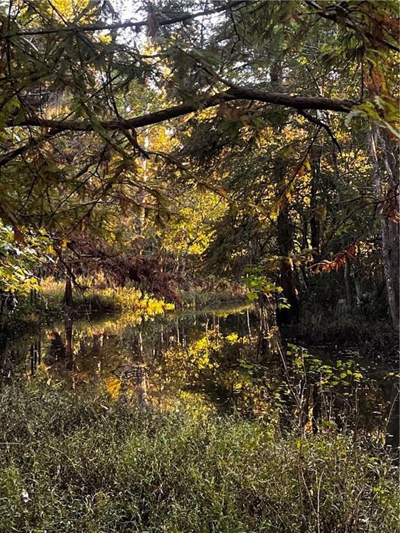 59465 Neslo Rd, Slidell, LA 70460 - photo 6