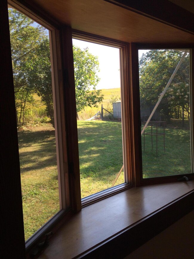 Bay Window