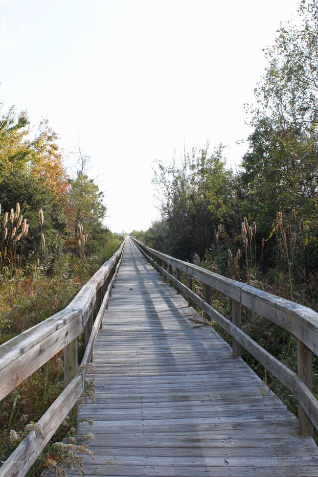 105 Calcos Ct, Stump Sound, NC 28445 - photo 2