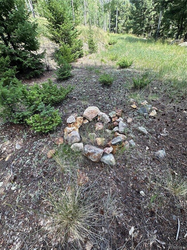 0 Tbd Calkins unit REC5883648, Jasper, CO 81146 - photo 4