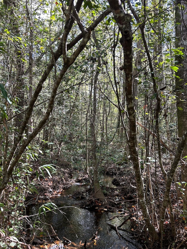 2000 Oak Hill Rd, Eastover, SC 29044 - photo 4