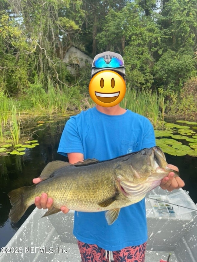243 Bass