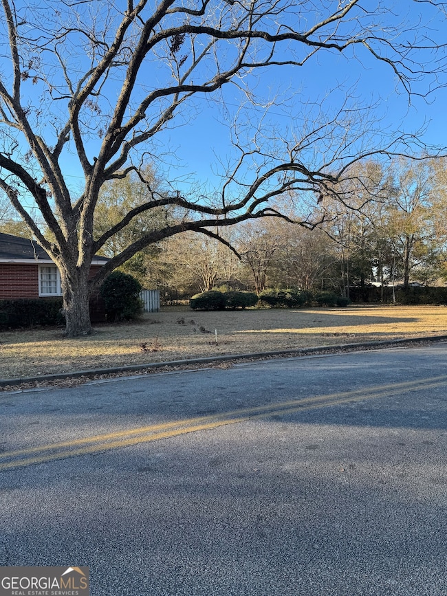 606 Park Ave, Claxton, GA 30417 - photo 3