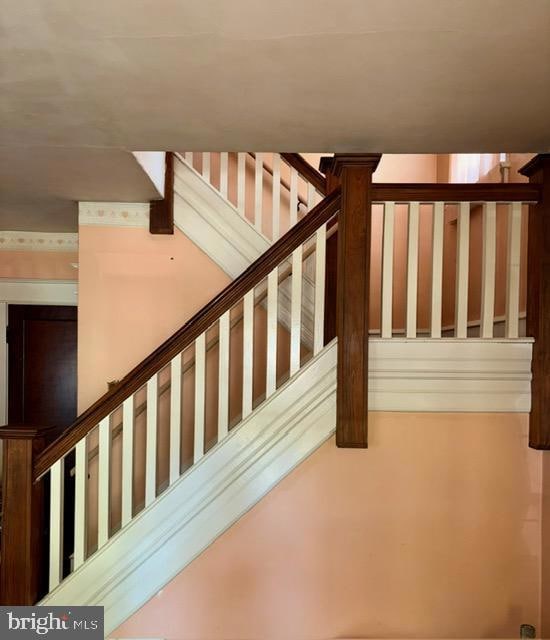 245 E Knight Ave, Collingswood, NJ 08108 - photo 2