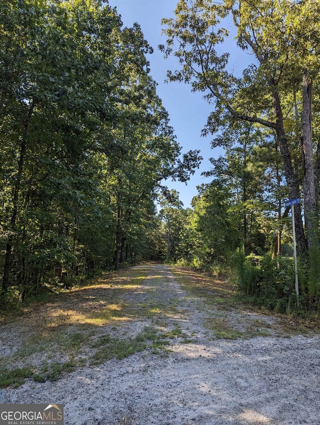 LOT 3 Joe Roberts Rd, Newnan, GA 30263 - photo 2