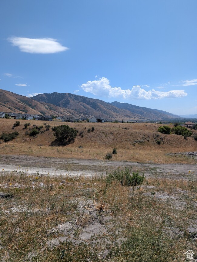 View of mountain background with rural landscape