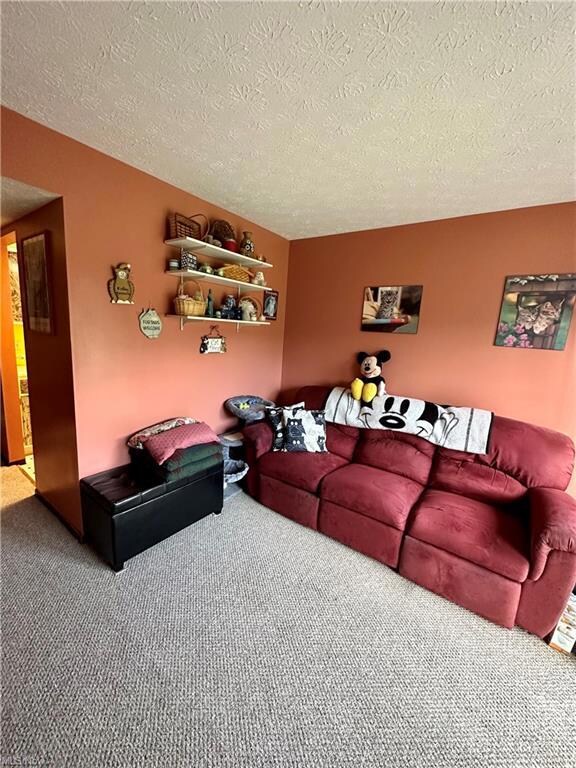 Living room with carpet floors and a textured ceil