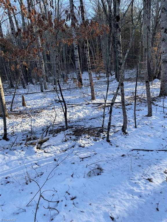 1179 Stephens Trail Rd unit 1179 Stephens Trail, Sandy Ridge, NC 27046 - photo 6