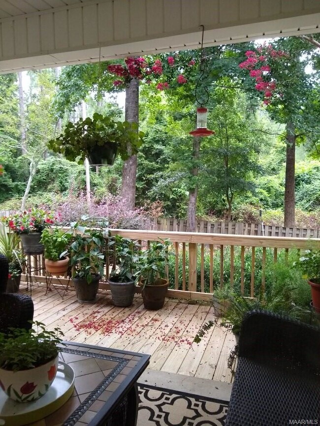 Covered Patio