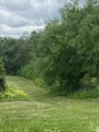 View of local wilderness