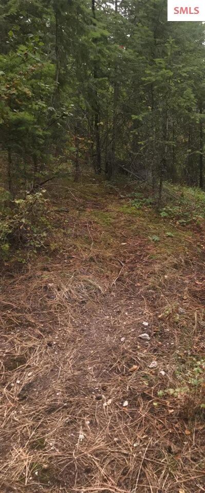 68 Riverview Cir, Sandpoint, ID 83864 - photo 6