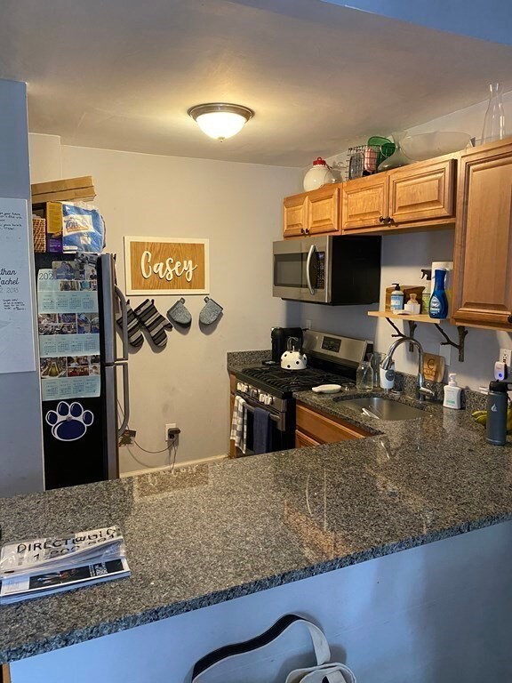 7 Highland Park Ave unit 1, Roxbury, MA 02119 - photo 6