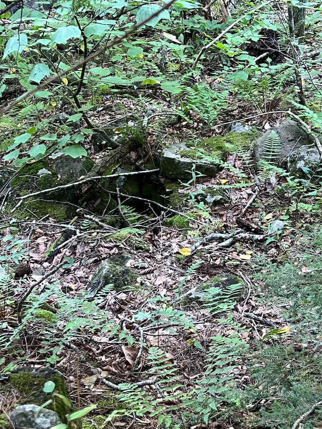 Map 6, Lot 38 Chadwick Hill Rd, Webster, NH 03303 - photo 4