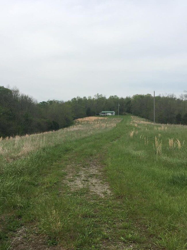 1089 5 Lick Rd, Mount Olivet, KY 41064 - photo 5