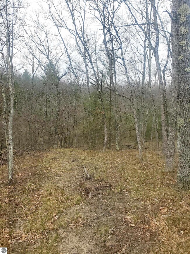 9577 N Woodbridge Dr, Bitely, MI 49309 - photo 3