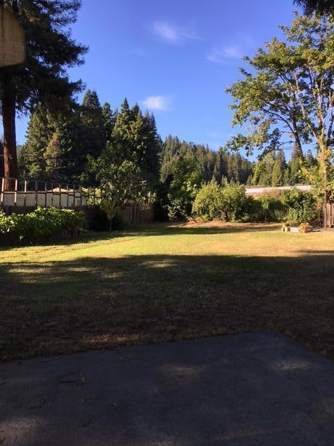 265 Orchard Way, Myers Flat, CA 95554 - photo 5