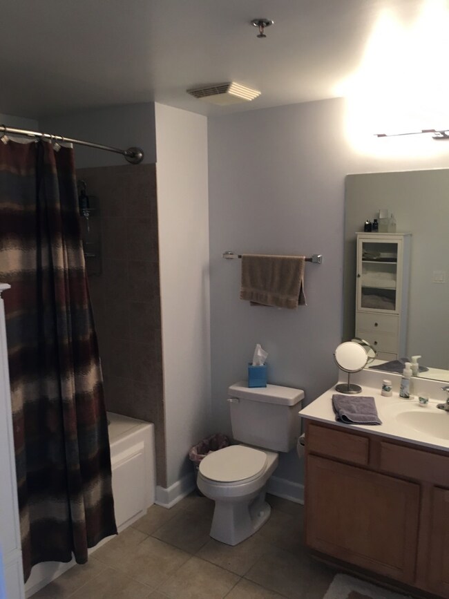 Museum Park Lofts II unit 1612, Chicago, IL 60605 - photo 5