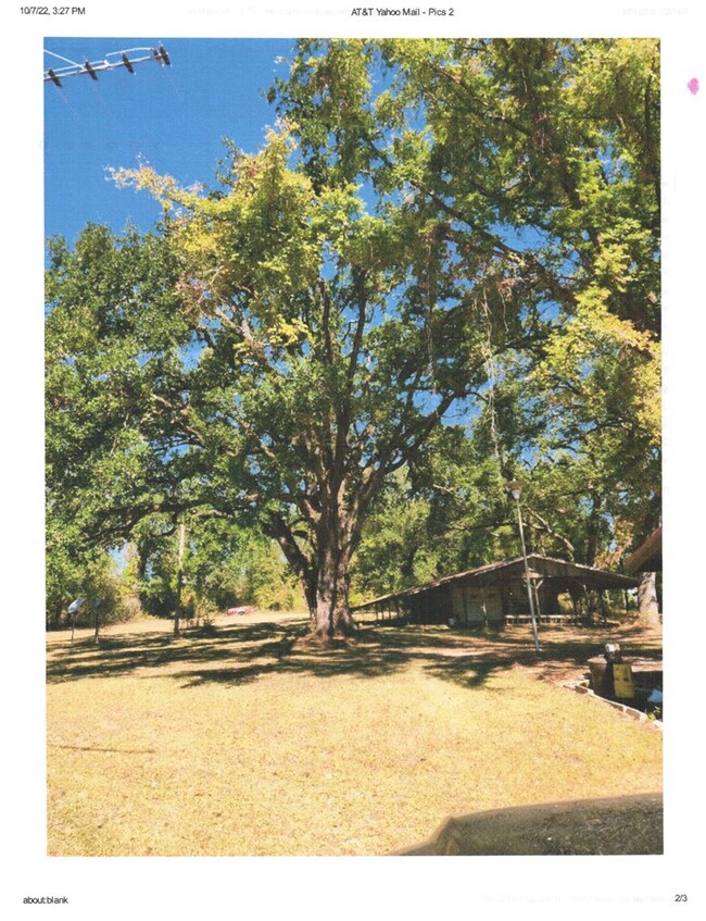 7662 Paradise Dr, Donalsonville, GA 39845 - photo 7