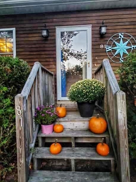 Embrace the season
