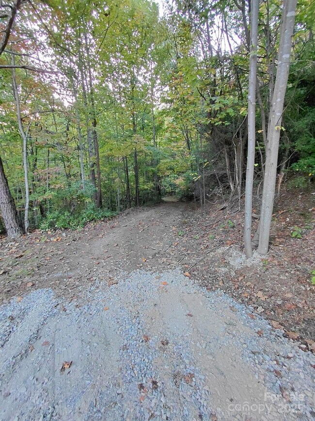 Beginning of driveway at the end of Sassafrass