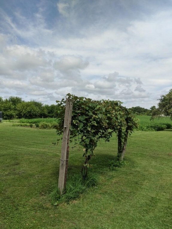 1112 N 19th St, Mattoon, IL 61938 - photo 6