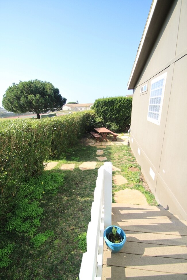 Backyard2