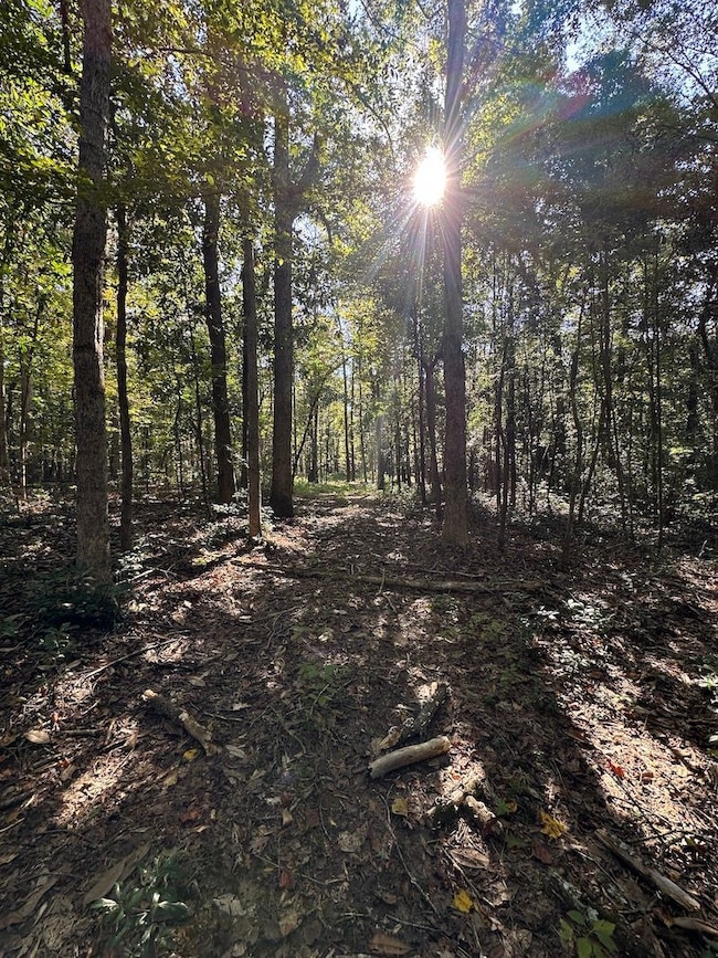 Cutrer Dr unit LotWP001, Osyka, MS 39657 - photo 4