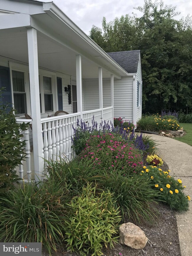 4827 Piney Neck Rd, Rock Hall, MD 21661 - photo 4