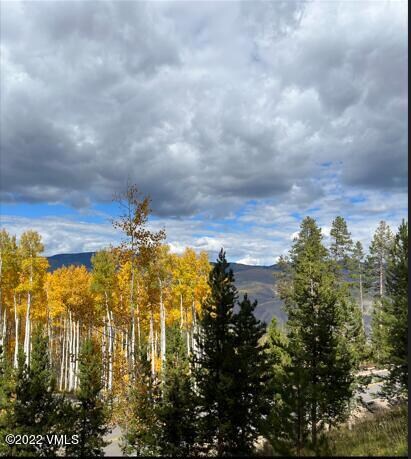fall photo 2