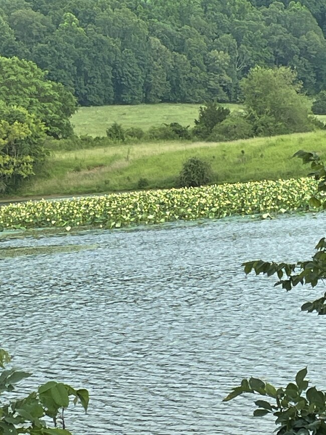 0 Gum Springs Rd unit RTC2822639, Sparta, TN 38583 - photo 2