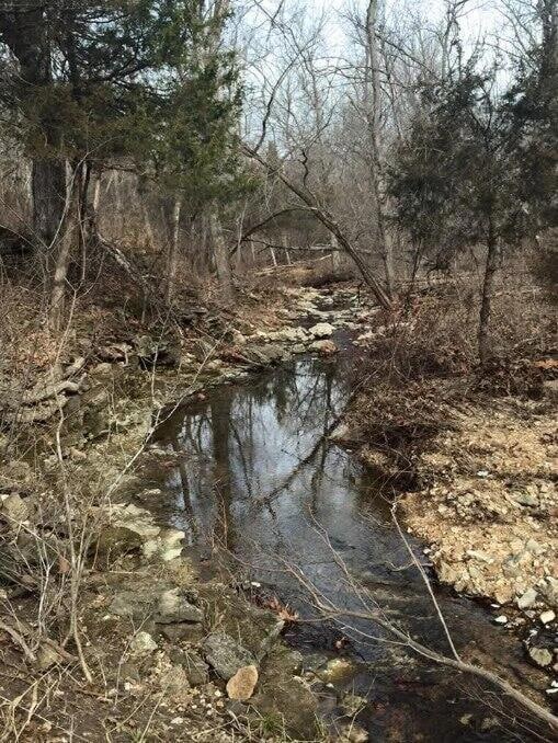 Tbd Foxtail Trail, Grant Township, MO 65685 - photo 3