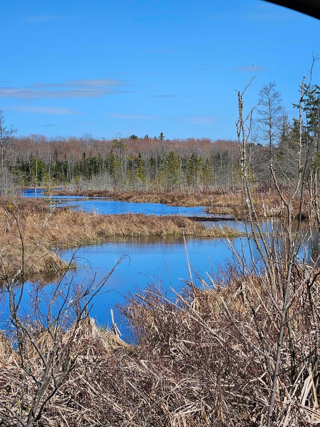 Ford lake Mezick creek