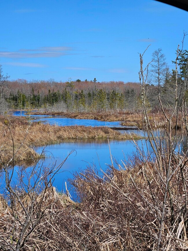 Ford lake Mezick creek