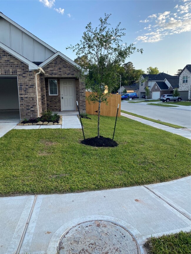 10102 Barn Owl Trail, Magnolia, TX 77354 - photo 3