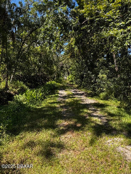 0 Shady Place, Daytona Beach, FL 32114 - photo 4