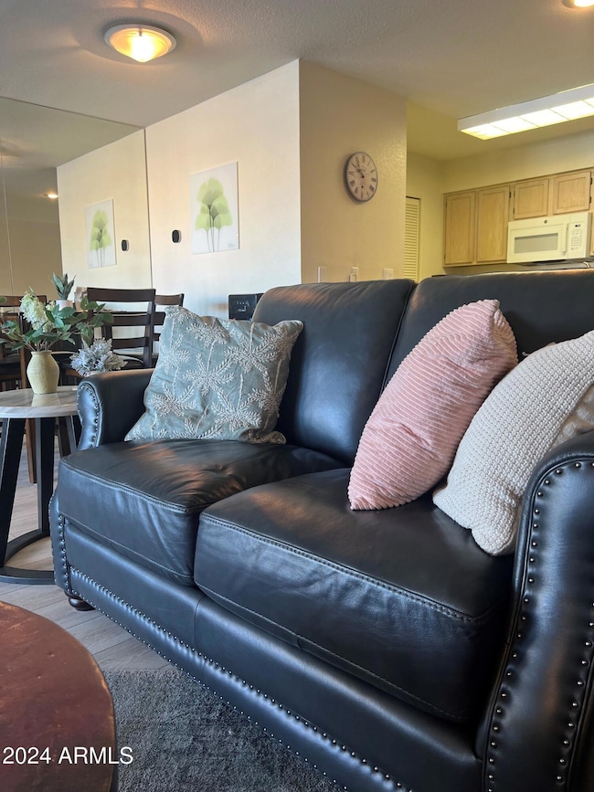 10080 E Mountainview Lake Dr unit 250, Scottsdale, AZ 85258 - photo 5