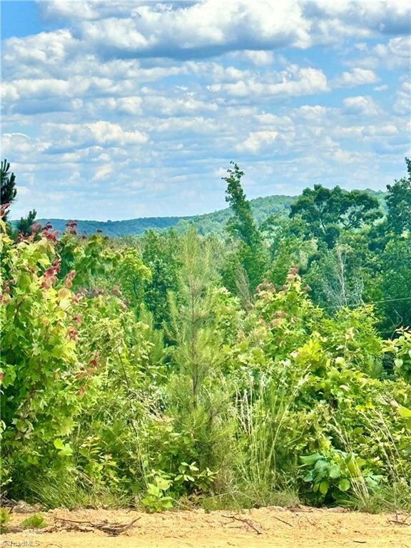 Tract 2 Browers Chapel Rd, Asheboro, NC 27205 - photo 2