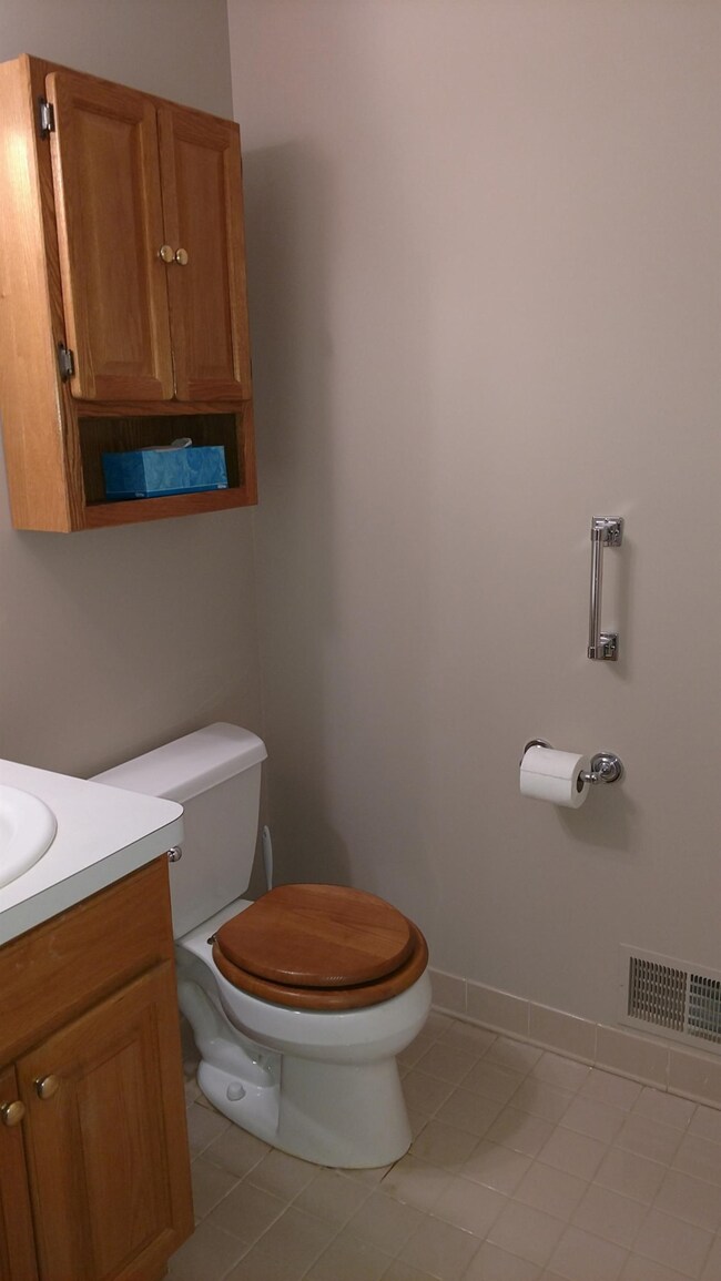 119 Willow Ct, Chelsea, MI 48118 - photo 6