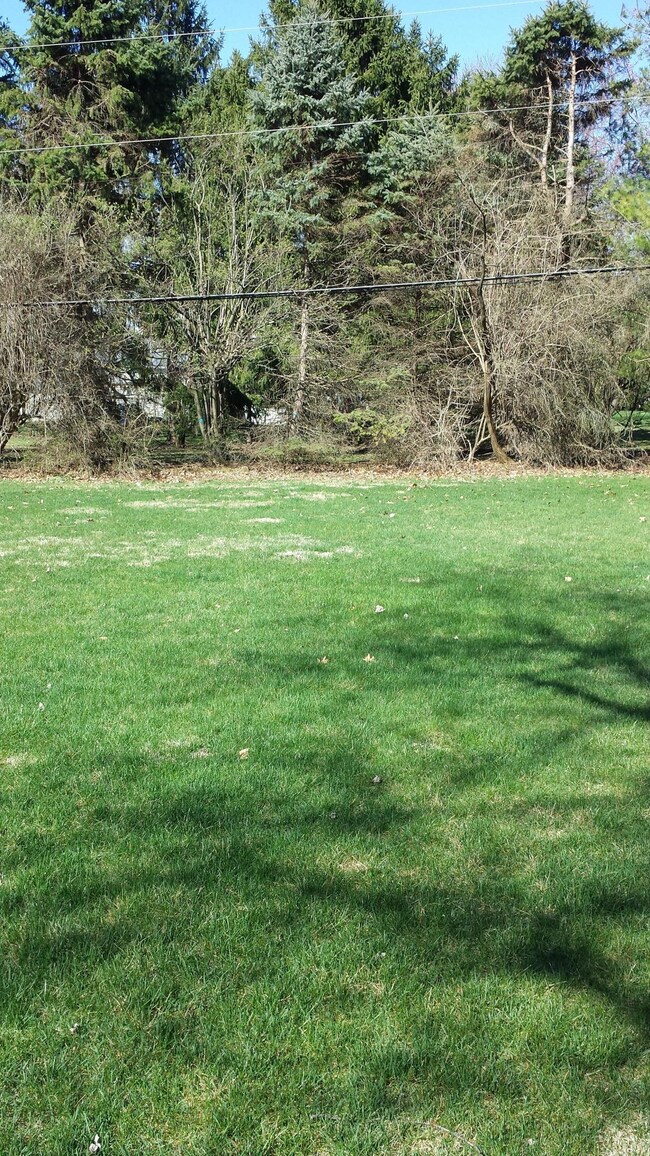 Backyard 2
