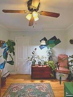 15 Cross Ave unit 2, Midland Park, NJ 07432 - photo 2