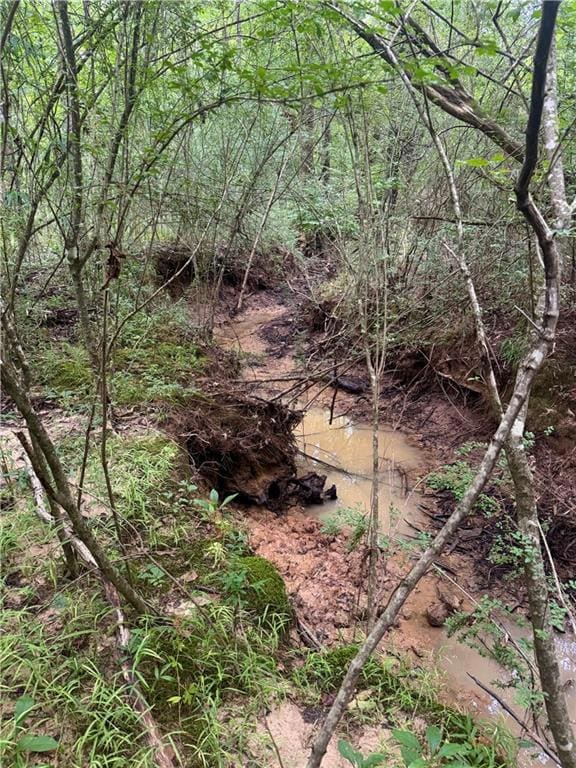 tbd Route 6, Natchitoches, LA 71457 - photo 7